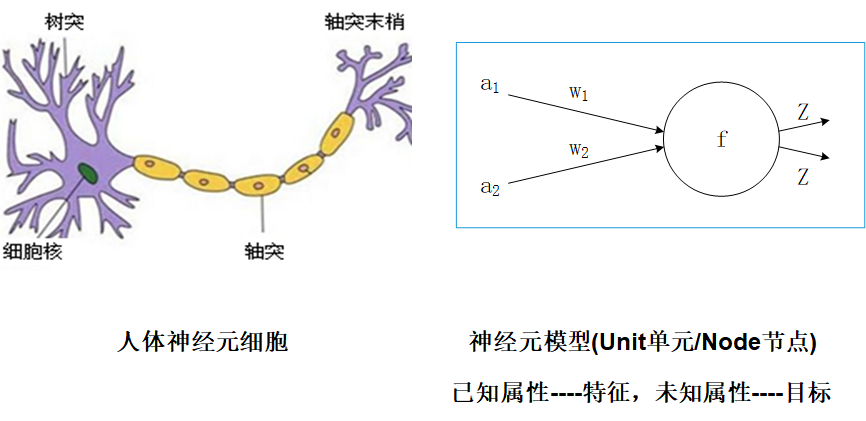 image-20220403160529805