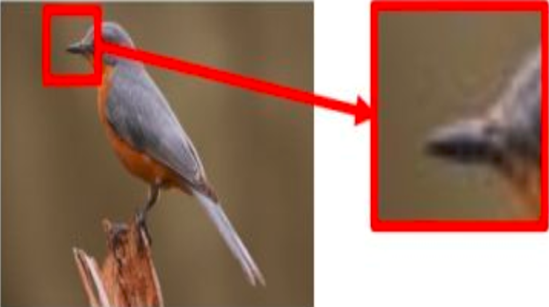 image-20220405105331848