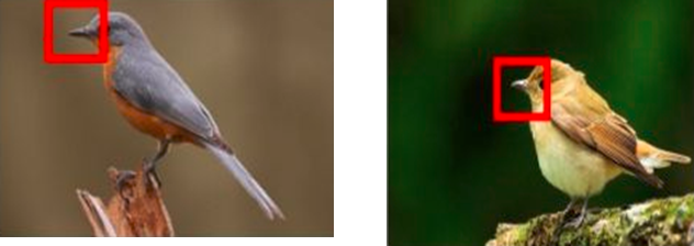 image-20220405105342750