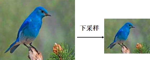 image-20220405105353372